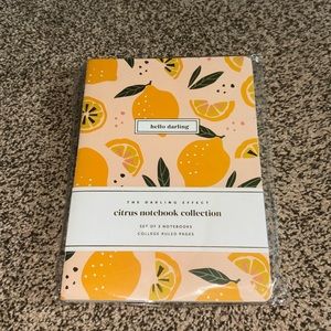 Set of 3 notebooks
